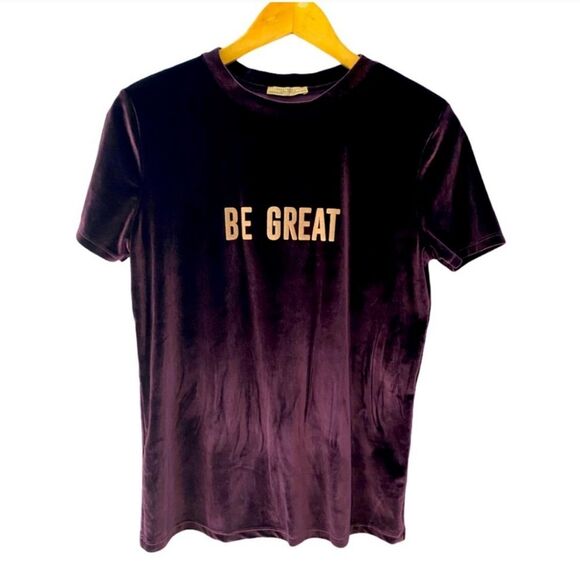 Zara Trafaluc “Be Great” Purple Velvet Short Sleeve Tee Top Size Small - Picture 2 of 9